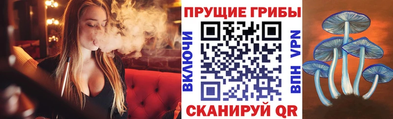 Псилоцибиновые грибы ЛСД  OMG рабочий сайт  Дегтярск 